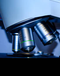 LingBox Translations Life Sciences